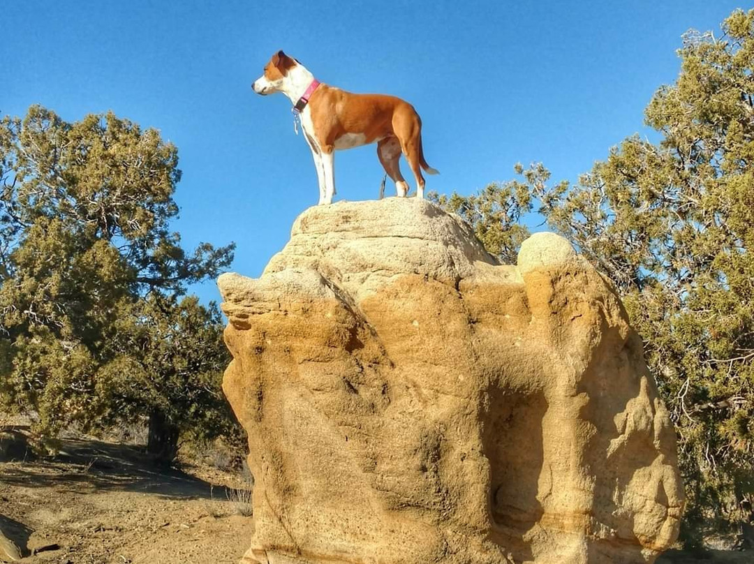 Chokecherry Canyon-法明顿必去景点