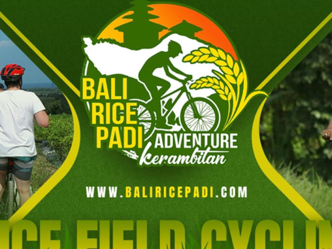 Bali Rice Padi-巴厘岛必去景点