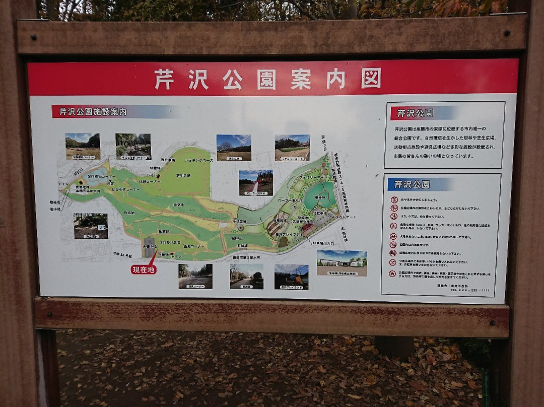 Serizawa Park-座间市必去景点