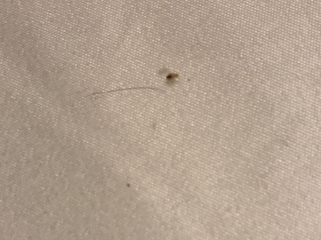 Sleep Inn Beaver-Beckley主图