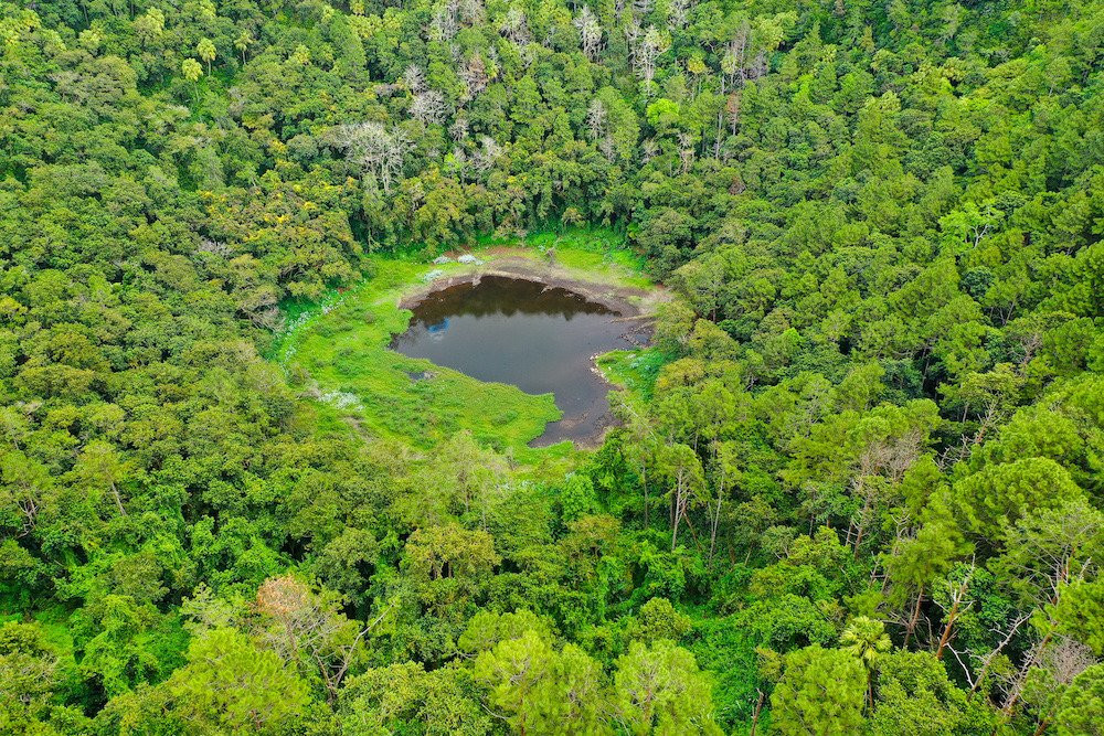 Forest Side旅游攻略图片