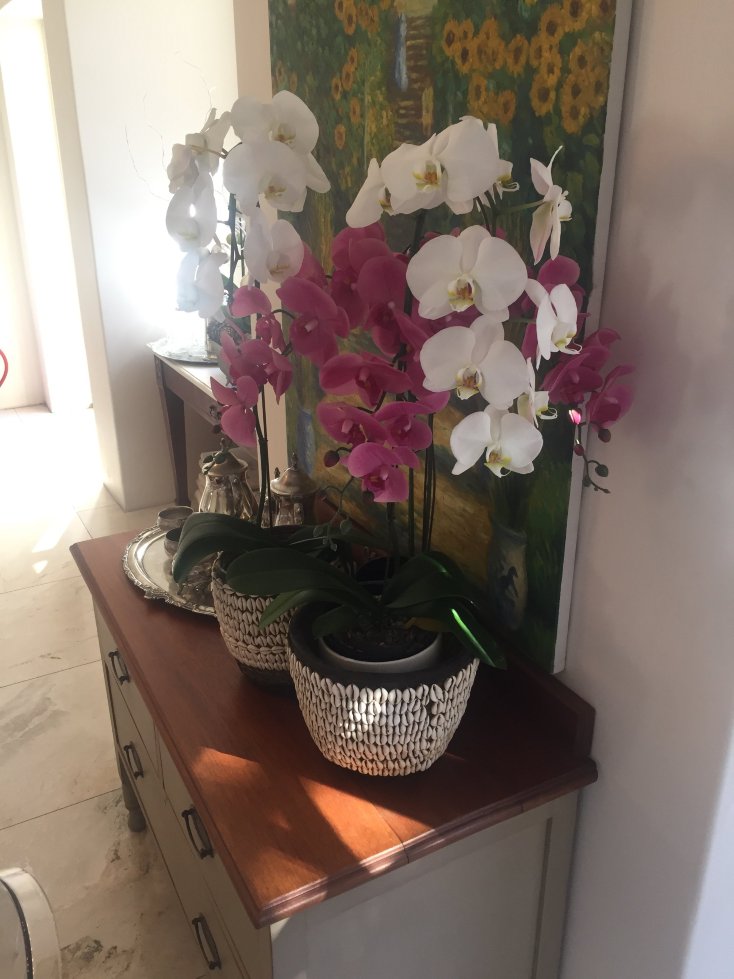 朗达庄园旅馆-餐饮