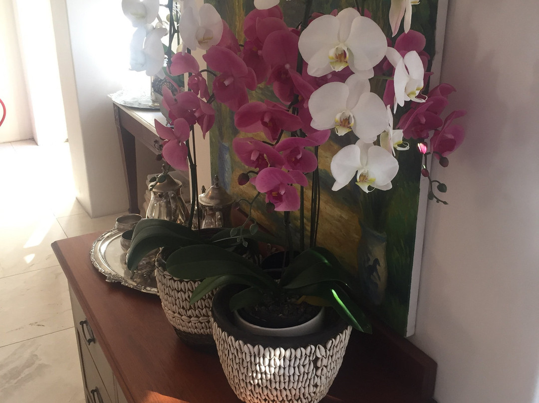 Rhonda's Manor Guest House主图