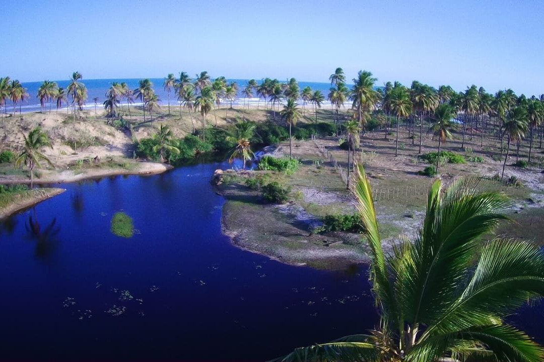 Praia do Baixio旅游攻略图片
