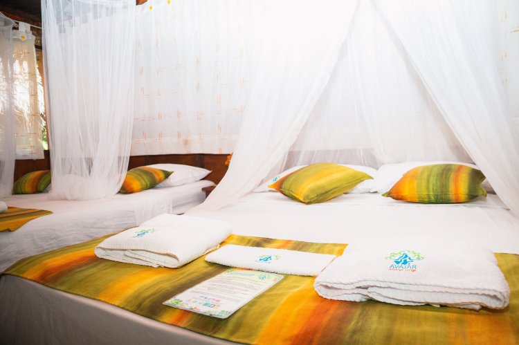 Avatar Amazon Lodge & Canopy Park-官方