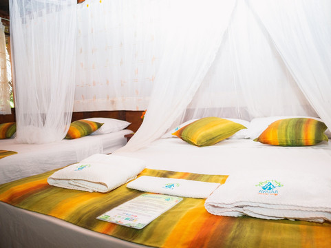 Avatar Amazon Lodge & Canopy Park主图