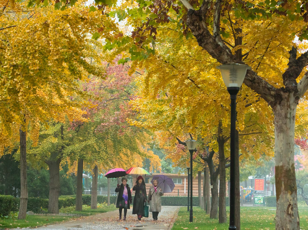 石门公园-石家庄市必去景点