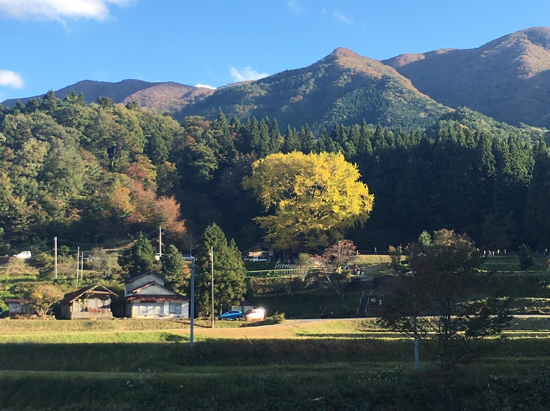 Kingen-ji Temple-奥出云町必去景点