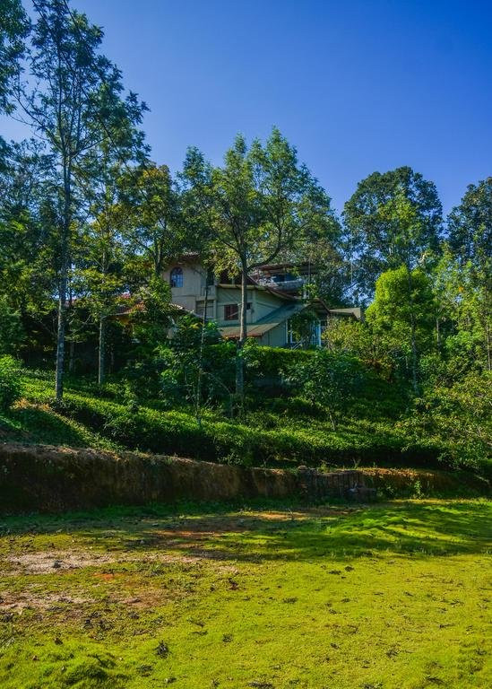 MF Estate Holiday Bungalow主图