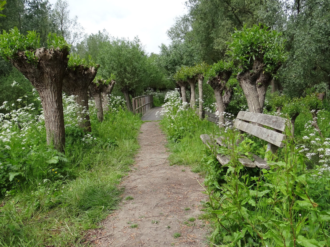 Rhoonse grienden-Rhoon必去景点