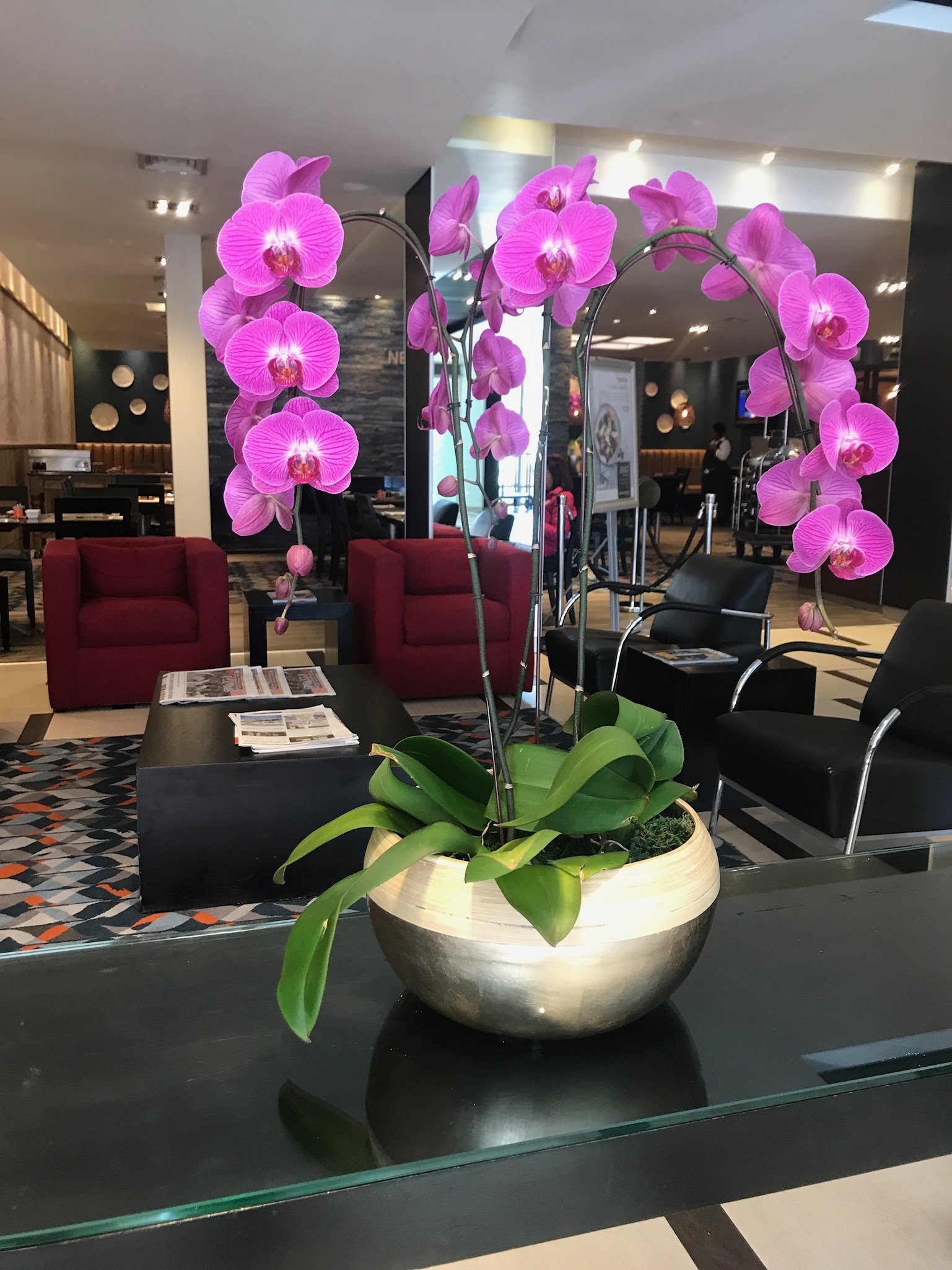 纽兰特南方太阳酒店-浴室