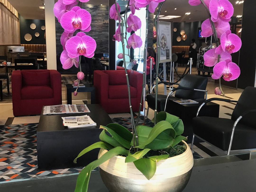 纽兰特南方太阳酒店主图