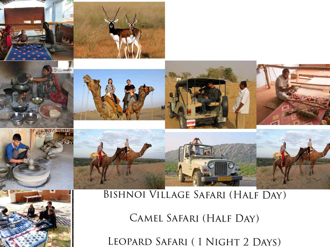 Bishnoi Village Safari Jodhpur景点图片