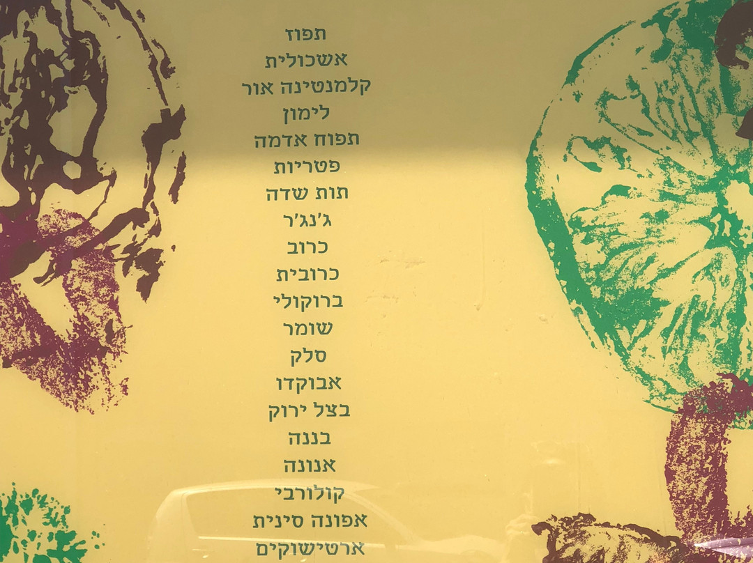 Shuk HaNamel-特拉维夫必去景点