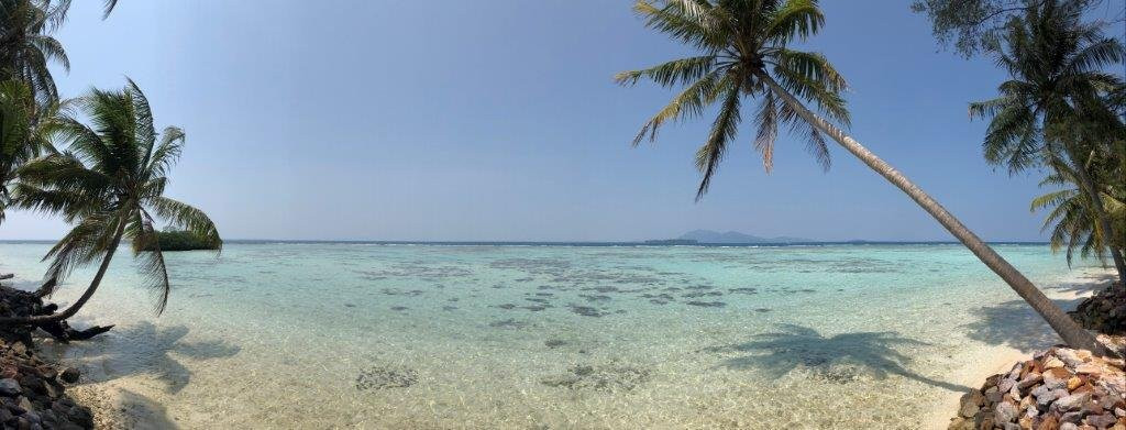 Kura Kura Resort主图