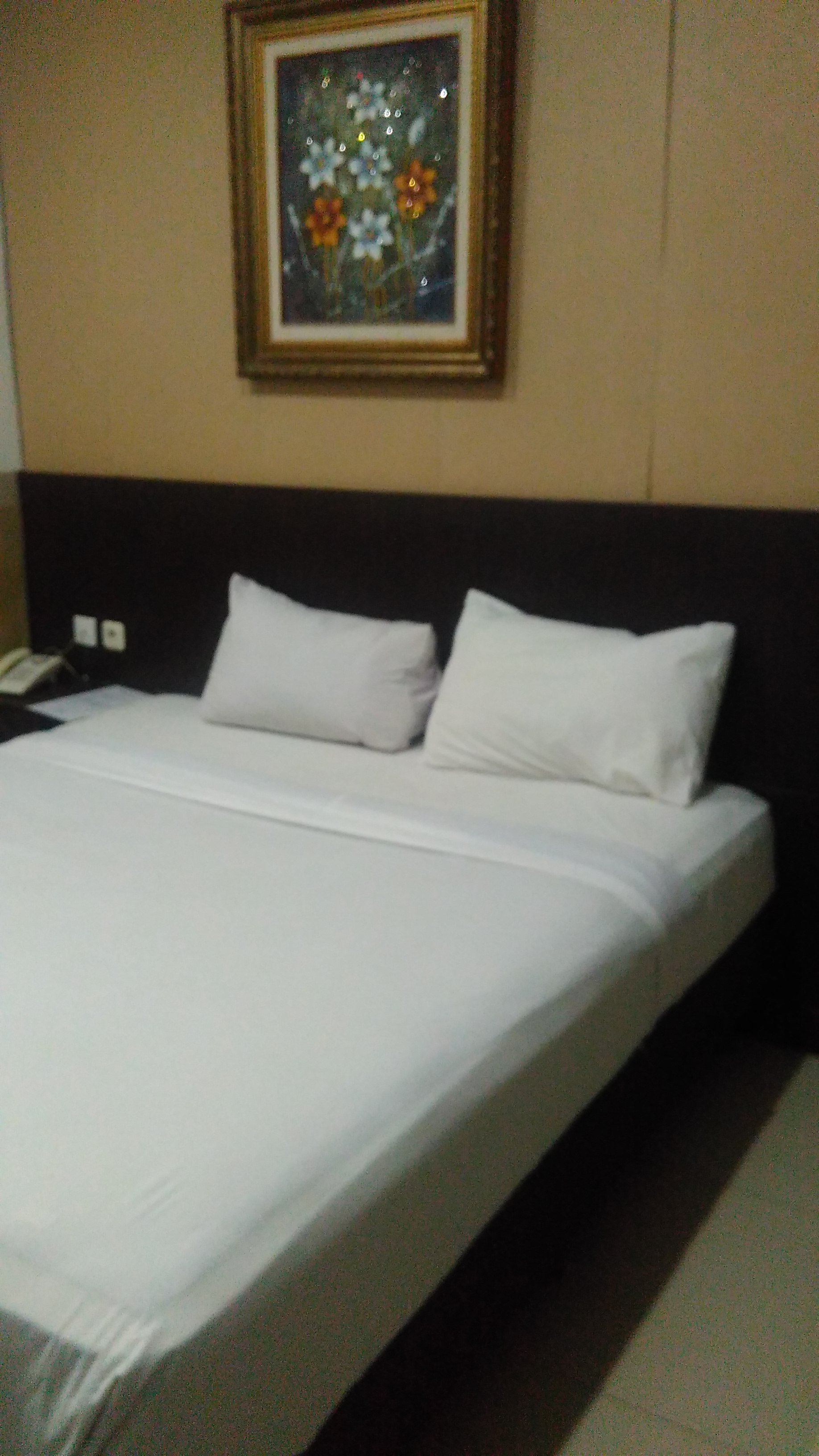 Hotel Qintani-官方