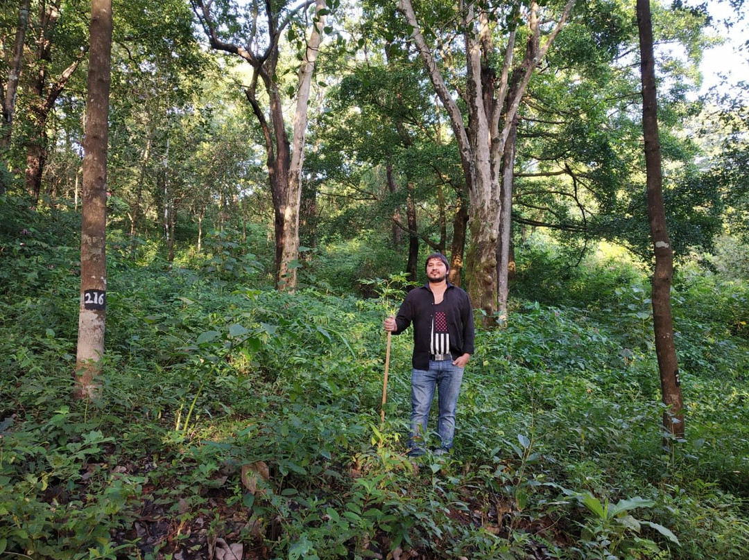 Mangaal Farmstay主图