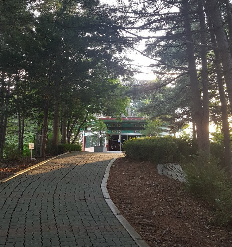 Homyeong Lake-加平郡必去景点