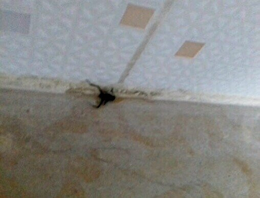 Hotel La Plage主图