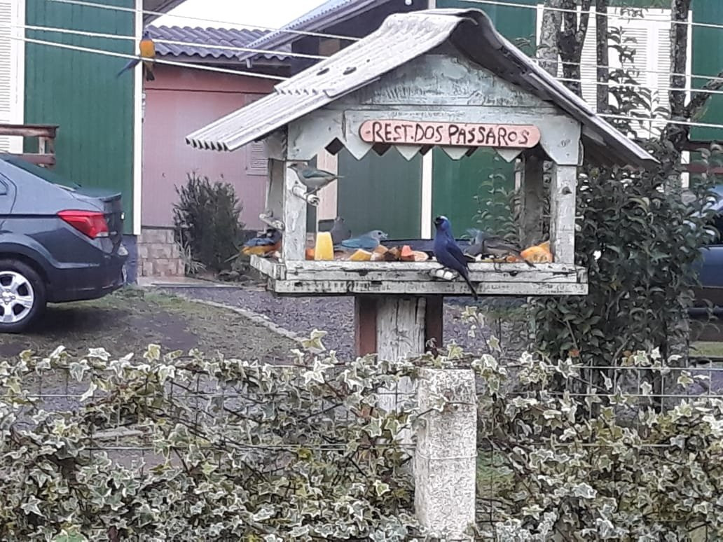 Cabanas Brisa Dos Canyons主图