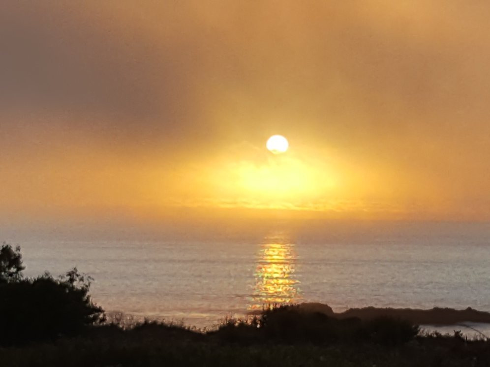 The Westport Inn主图