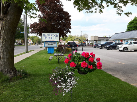 Maplewood Motel主图