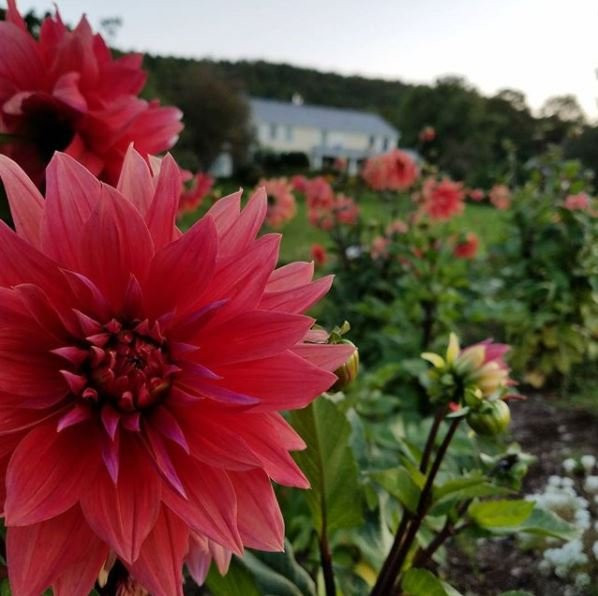 Vermont Bed And Breakfast At Russell Young Farm主图