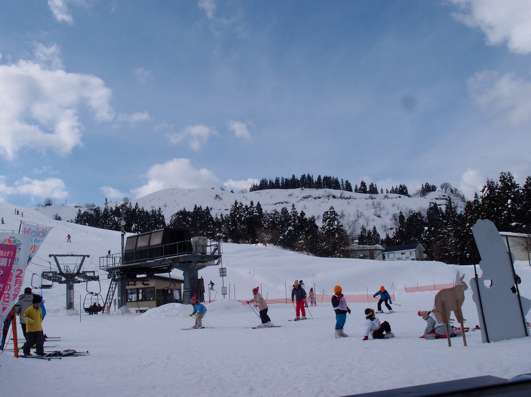 Koide Ski Area景点图片