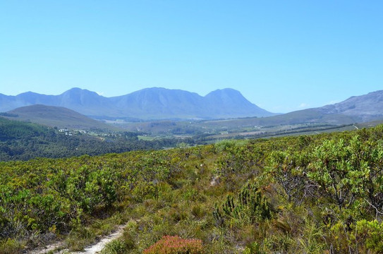 TourScape-St. James必去景点