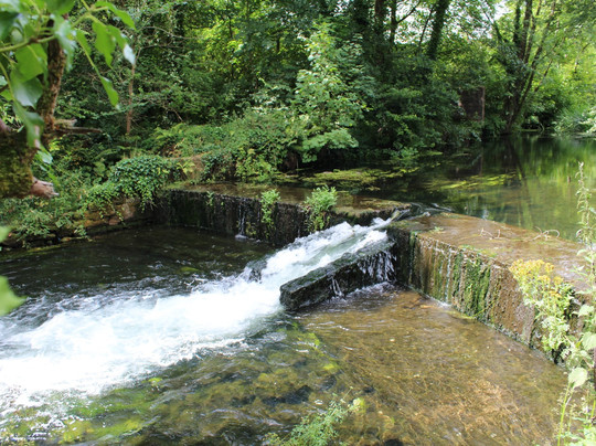 Doneraile旅游攻略图片