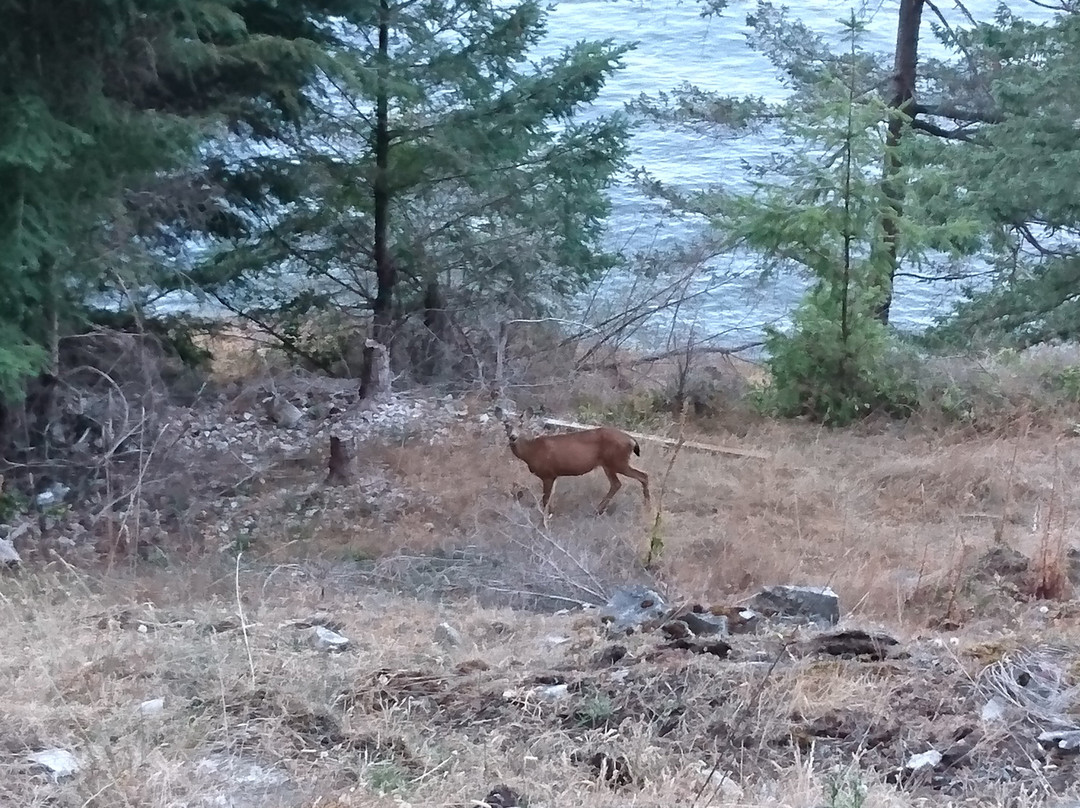 On the Sea B&B主图