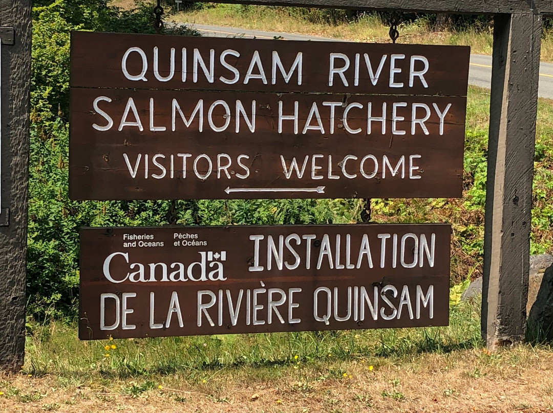 Little Qualicum River Fish Hatchery景点图片