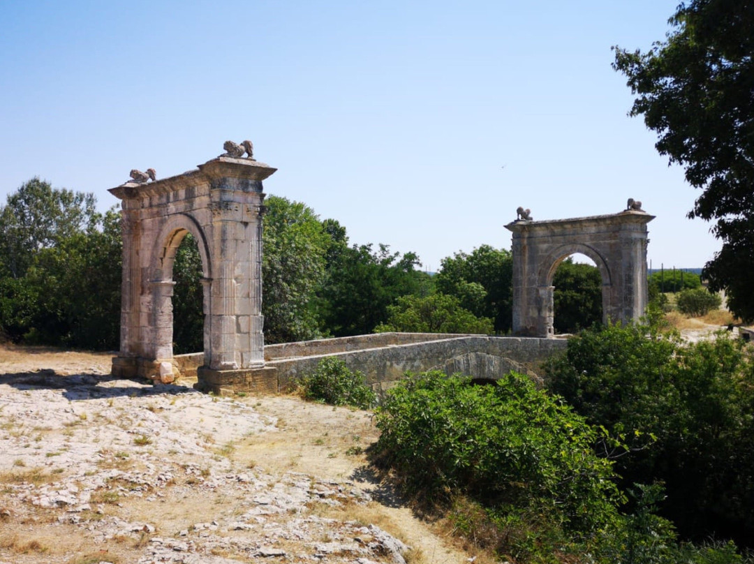 Pont Flavien景点图片