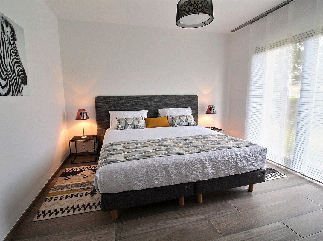 Logis Saponine主图