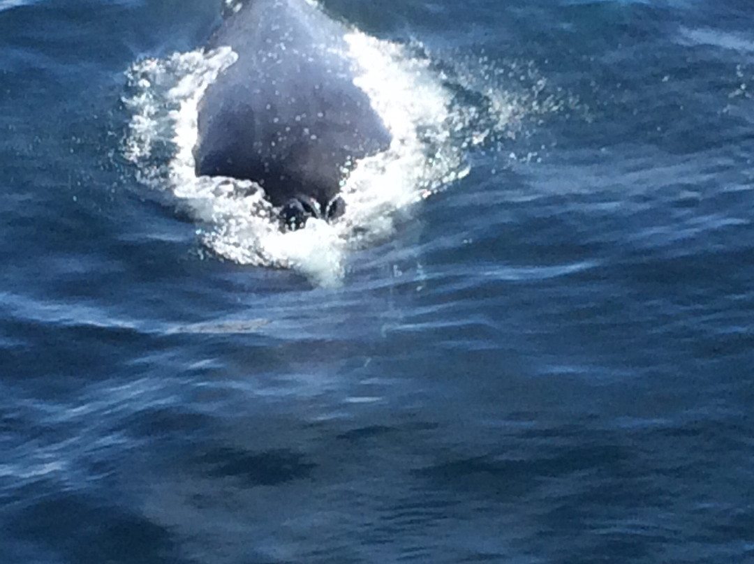 Tweed Heads Visitor Information Centre-堤维德岬必去景点