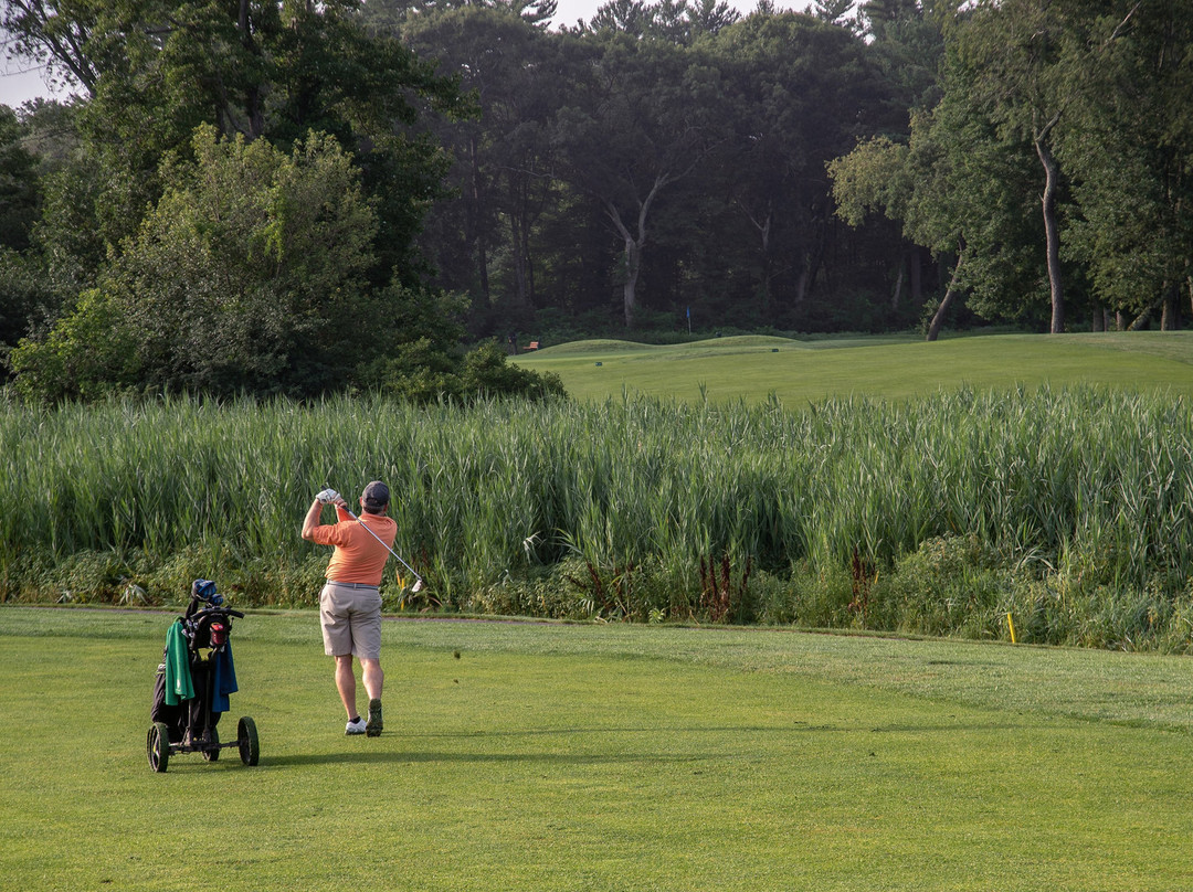 Black Swan Country Club-Georgetown必去景点