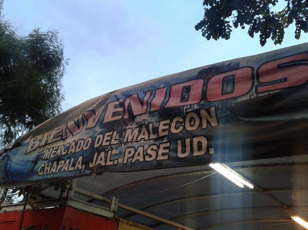 Chapala Handicrafts Market-Chapala必去景点