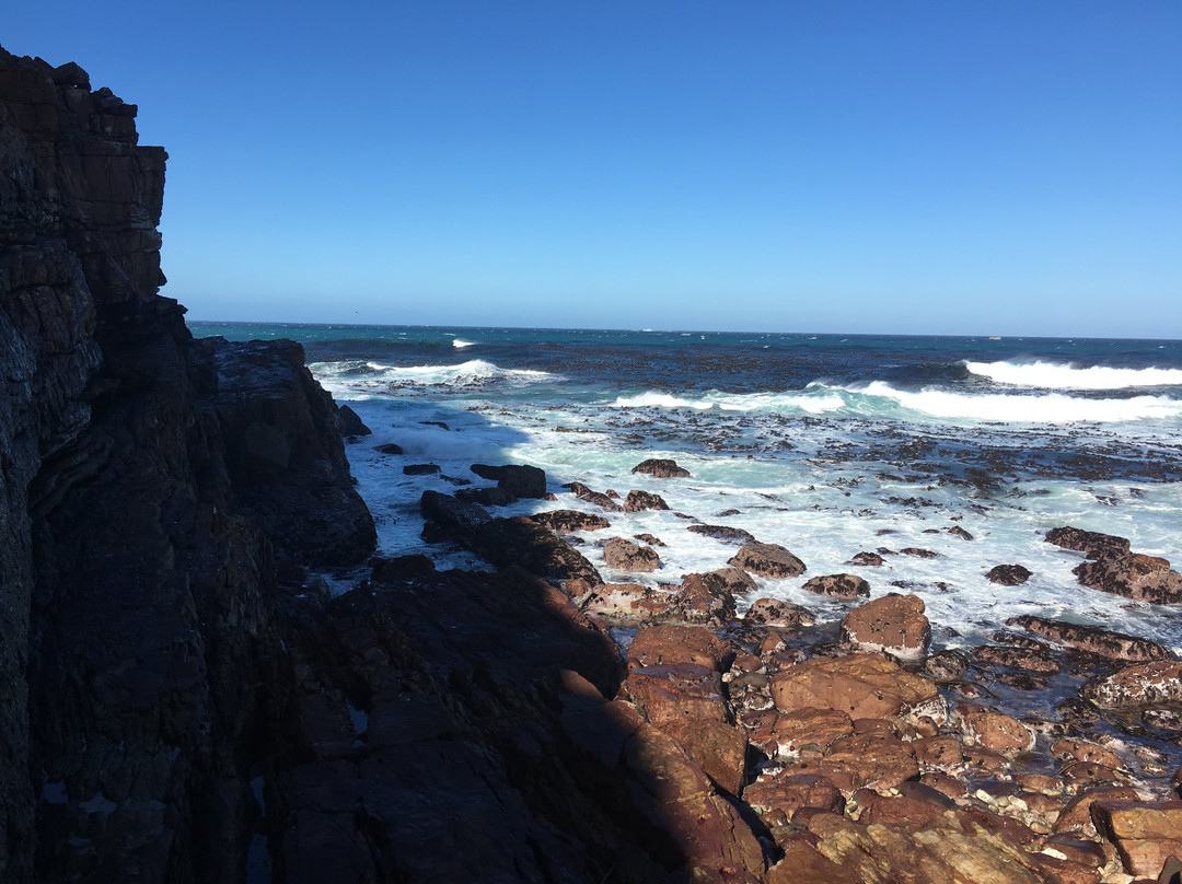 PG Tops Travel and Tours - Day Tours-开普敦中心区必去景点