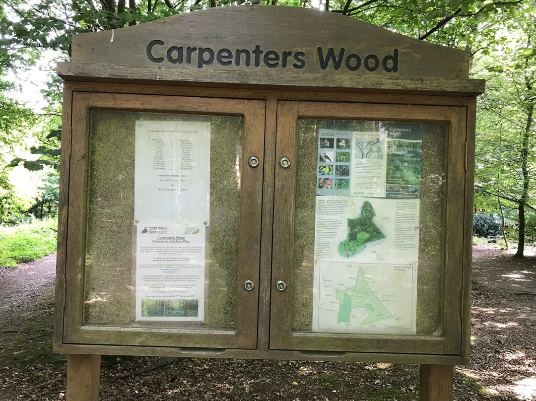 Carpenters Wood景点图片