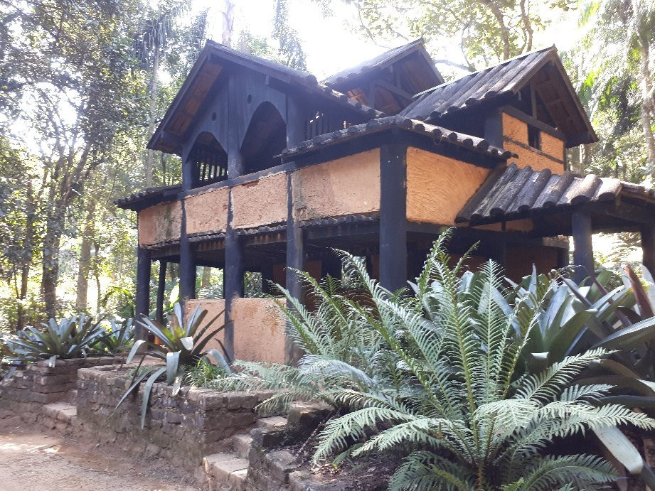 Jardim Botânico de São Paulo景点图片