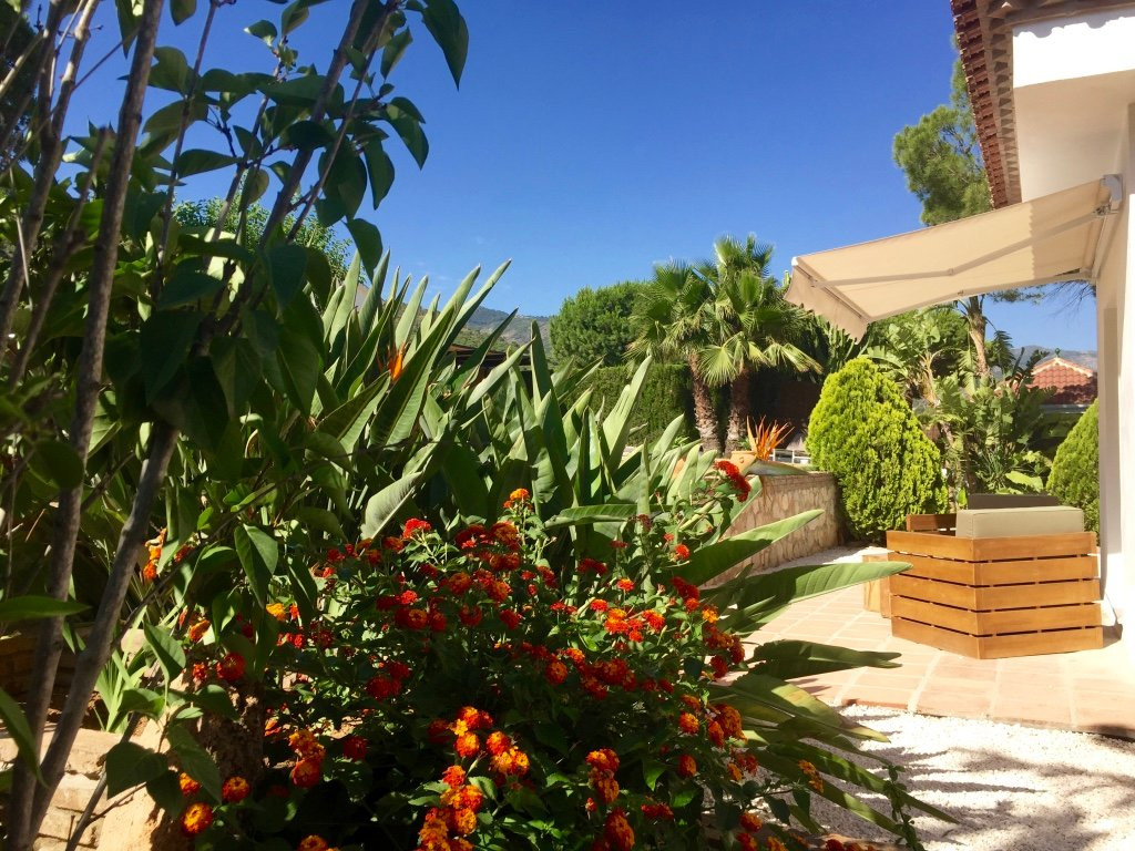 B&B Villa Pinos Malaga主图