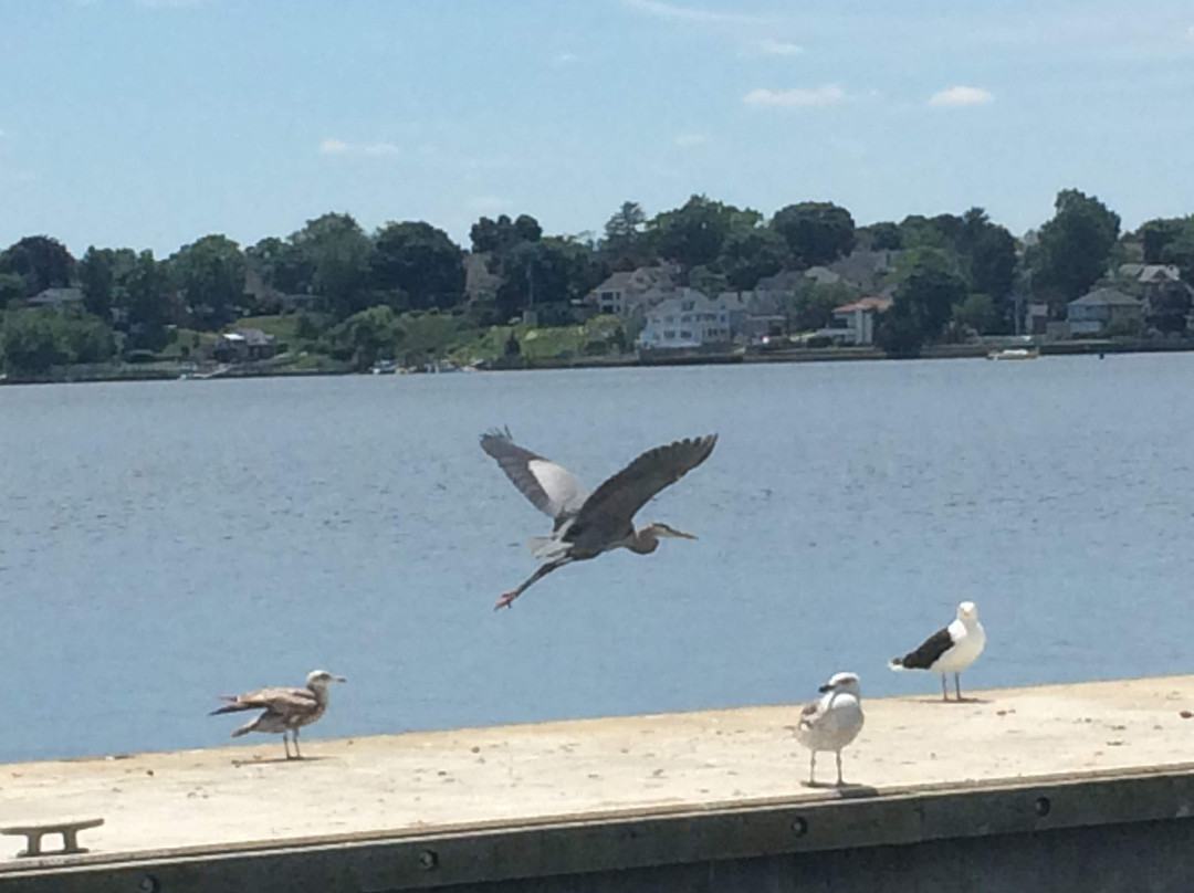 Save The Bay Lighthouse Cruises-普罗维登斯必去景点