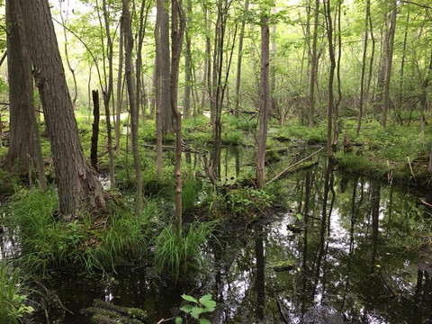 Menasha旅游攻略图片