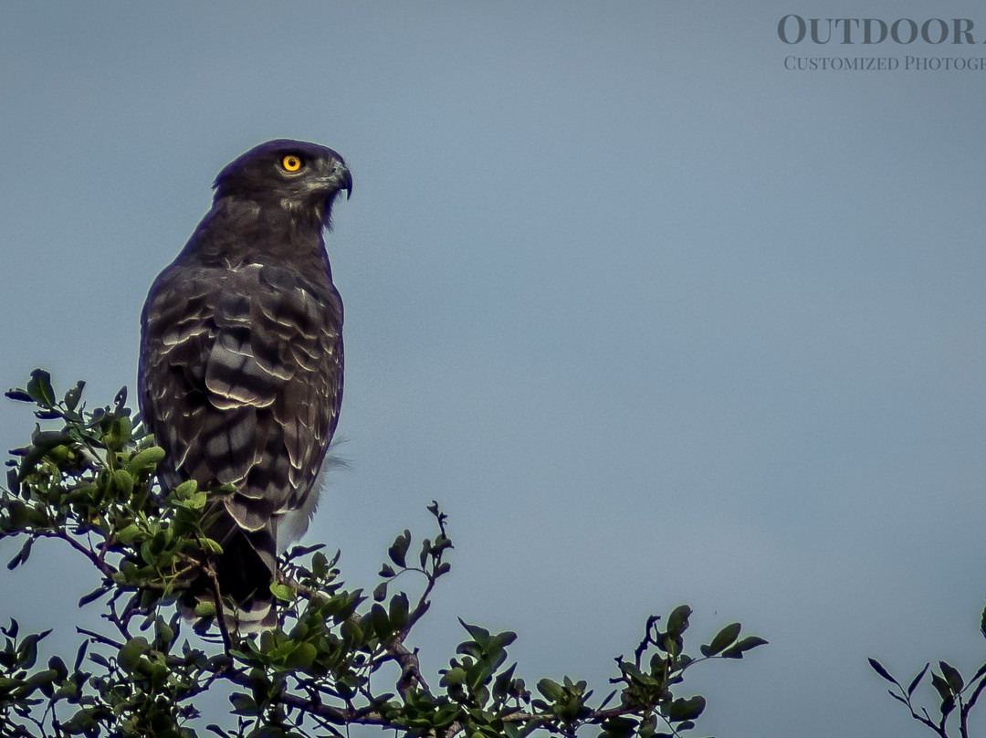 Outdoor Africa-理查兹湾必去景点