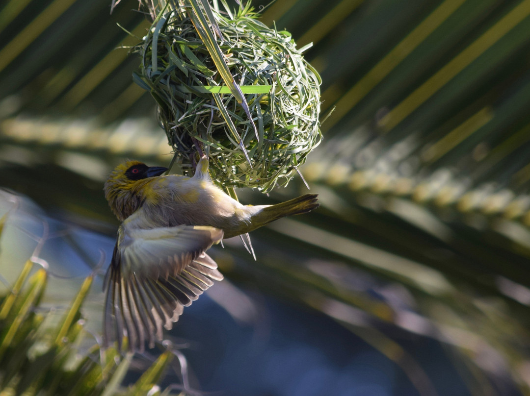 Jubilee Lodge Guesthouse主图