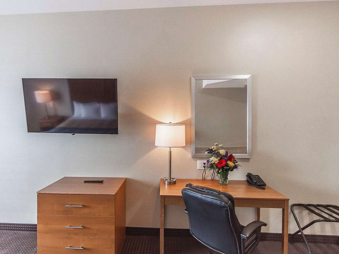 Comfort Inn & Suites主图