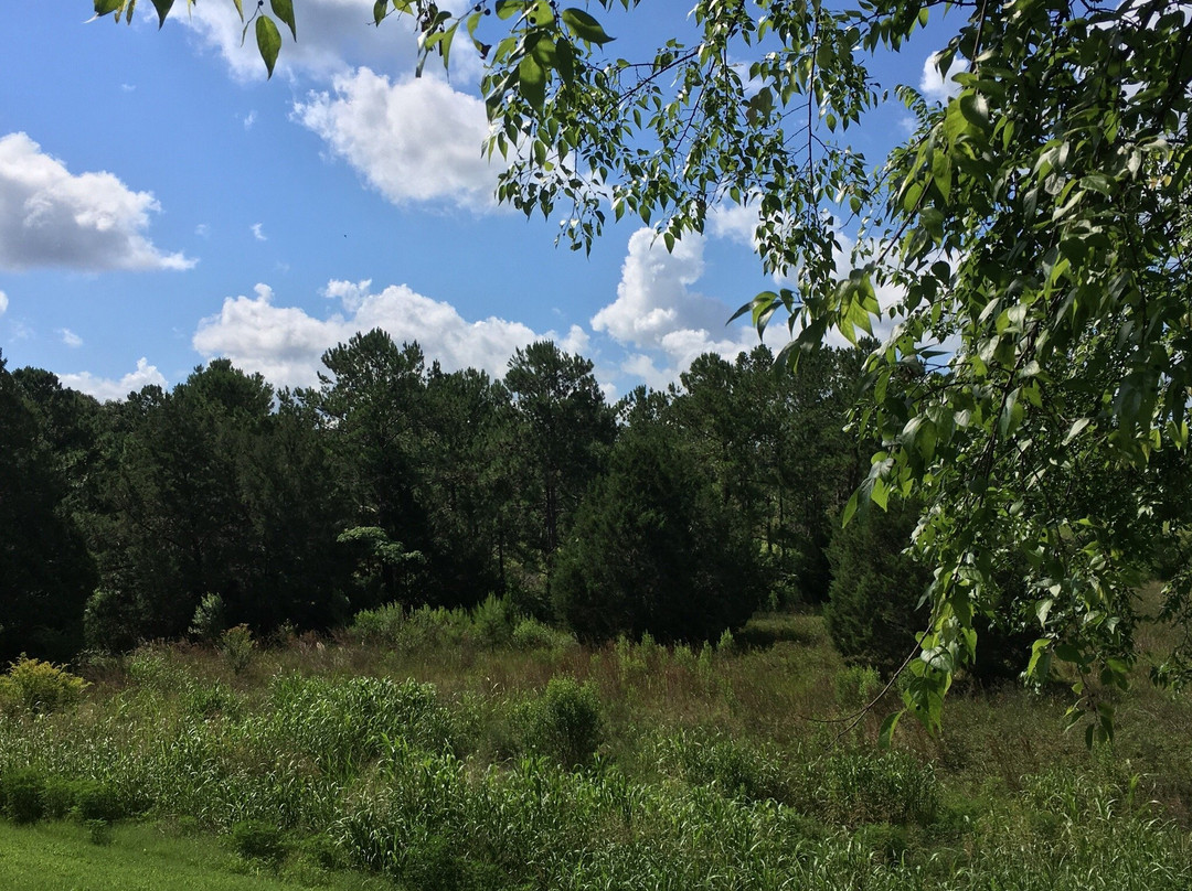 Scott Spring Park-奥卡拉必去景点