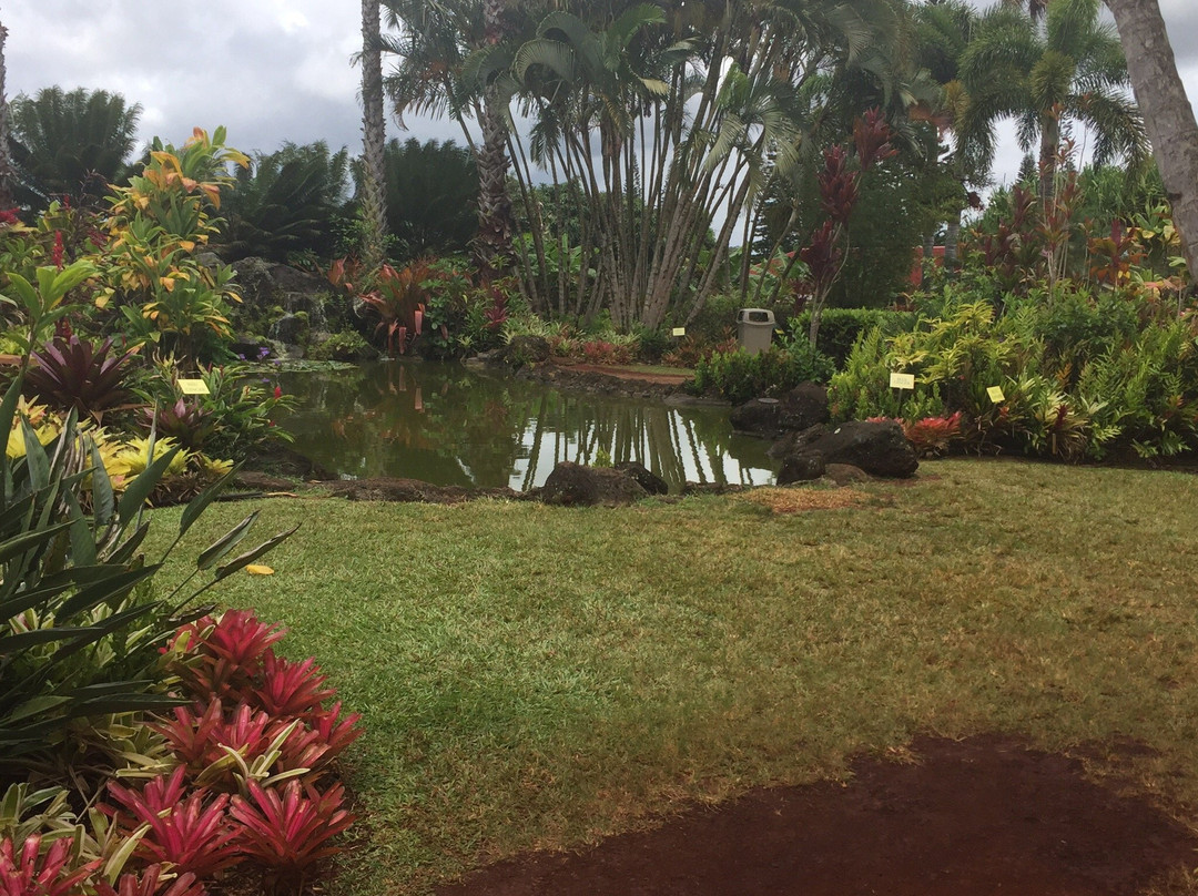 菠萝园——火山酒店主图