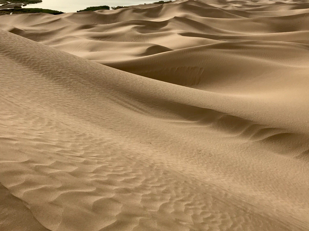 Bafgh Desert景点图片