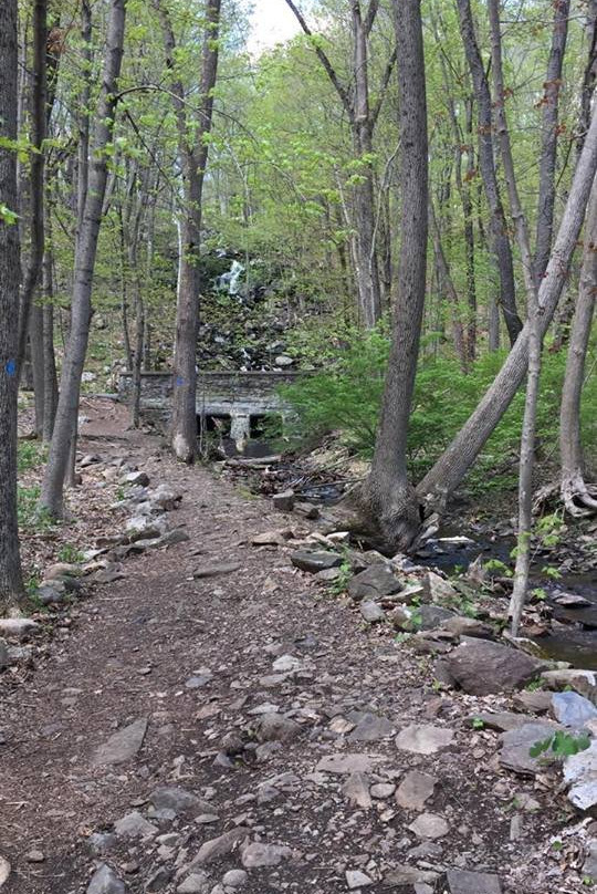 Cascading Waters-伍斯特必去景点